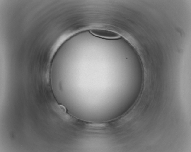 X0000114151296200910221539