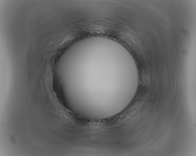 X0000114151297200910221538