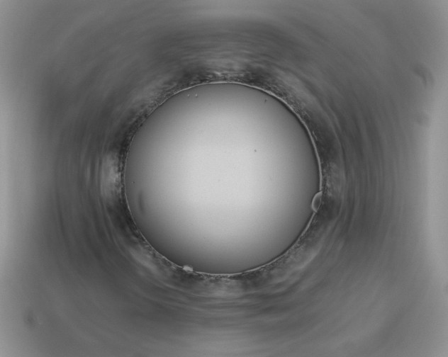 X0000114151298200910221538