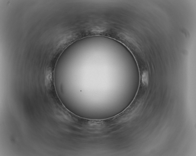 X0000114151299200910221538