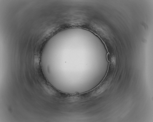 X0000114151300200910221538