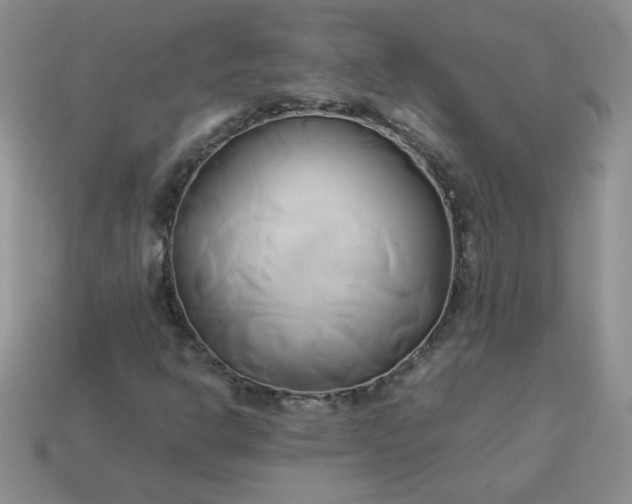 X0000114151302200910221538