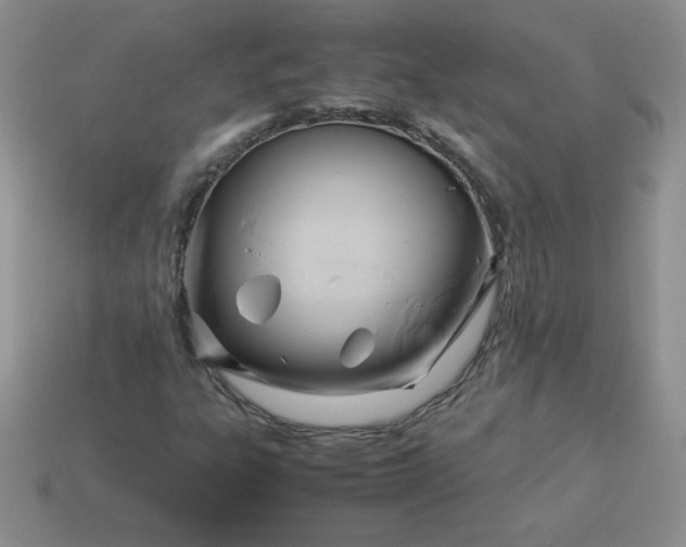 X0000114151303200910221538