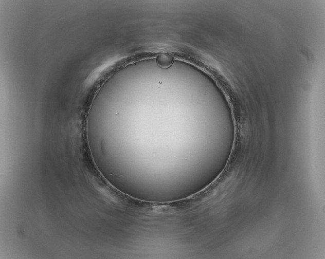 X0000114151304200910221538