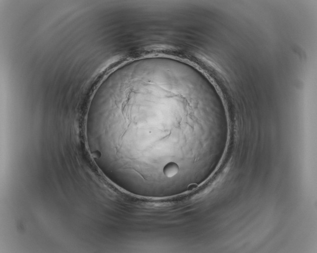 X0000114151305200910221538