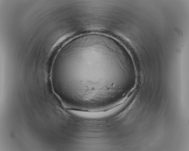 X0000114151306200910221538