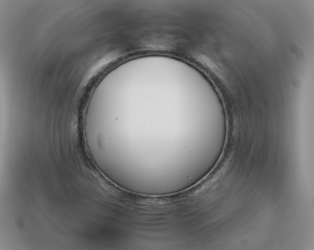 X0000114151307200910221538