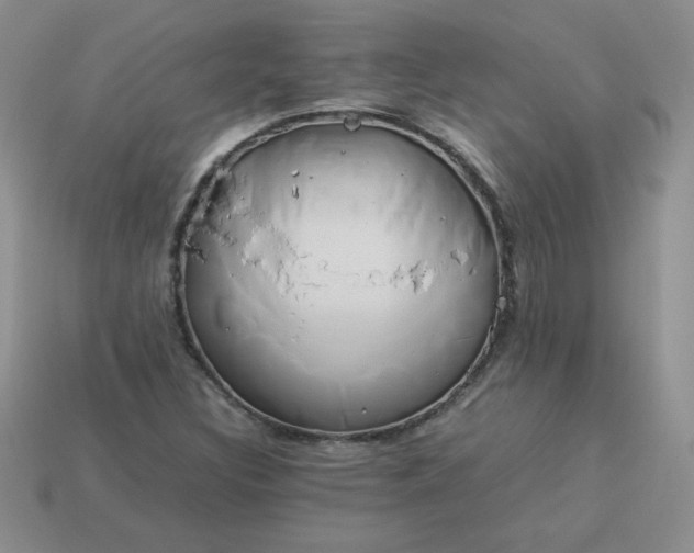 X0000114151308200910221538