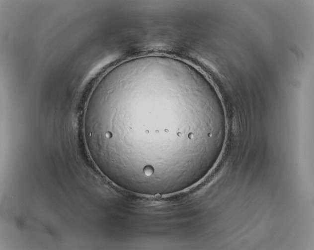 X0000114151309200910221538