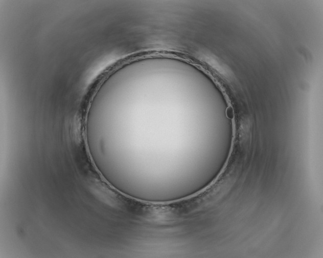 X0000114151310200910221538