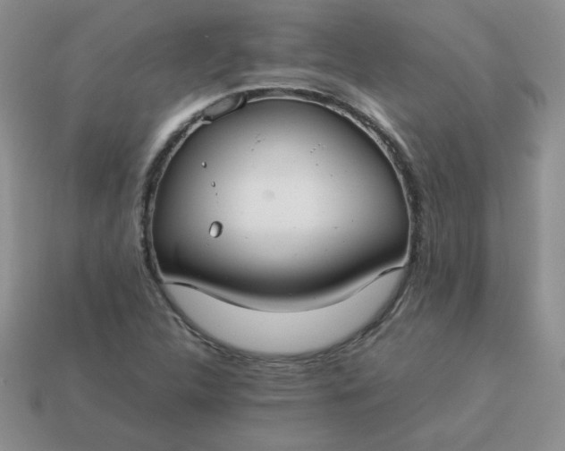 X0000114151312200910221538