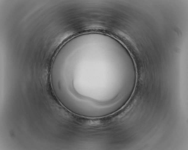 X0000114151313200910221538