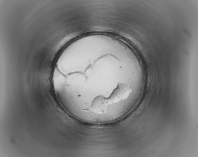 X0000114151314200910221538