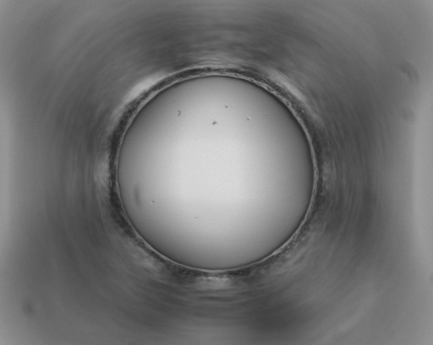 X0000114151315200910221538