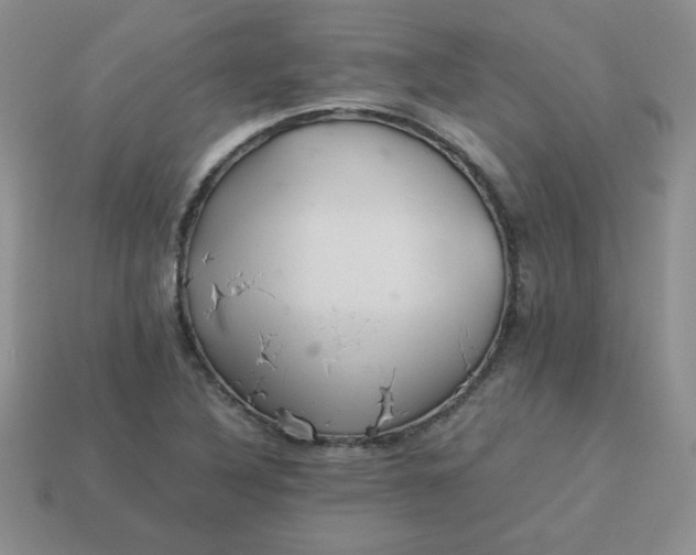 X0000114151316200910221538