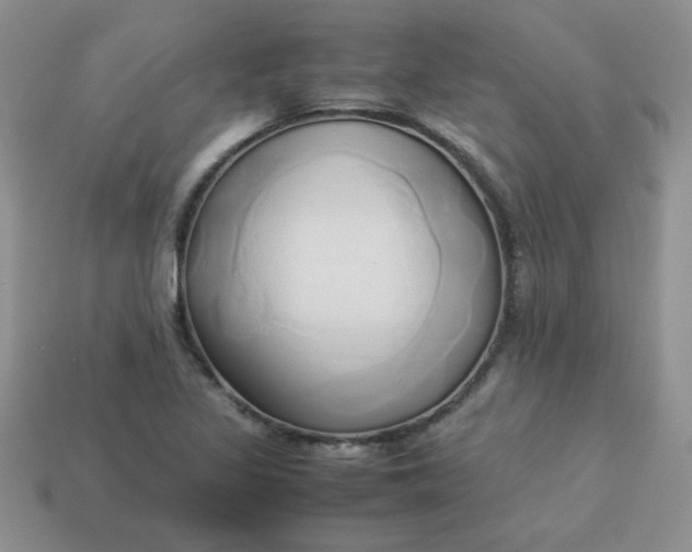 X0000114151317200910221538