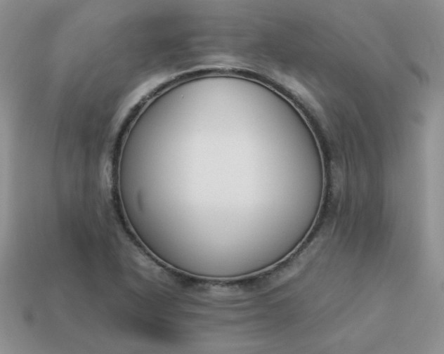 X0000114151318200910221538