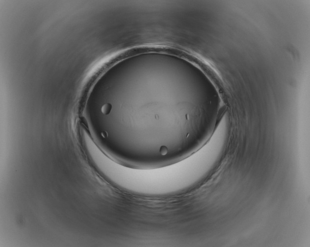 X0000114151319200910221538