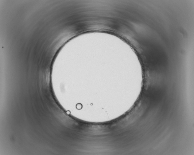 X0000114151322200910221538