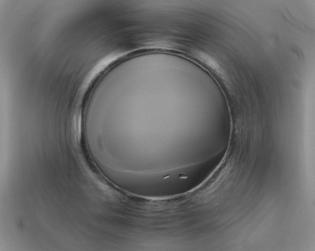 X0000114151323200910221538