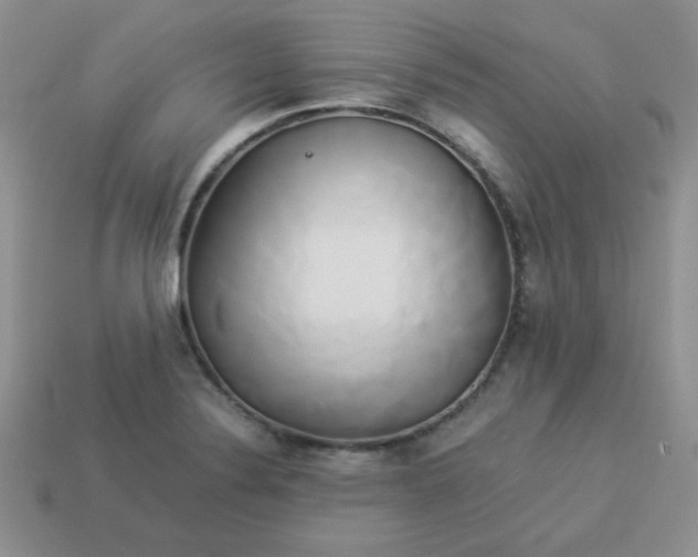 X0000114151324200910221538