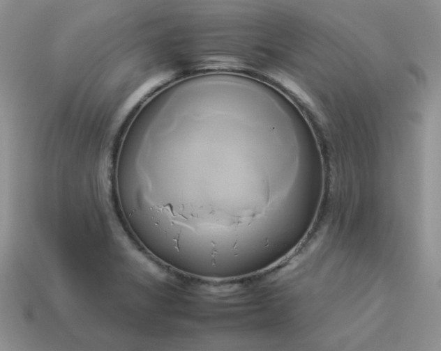 X0000114151325200910221538