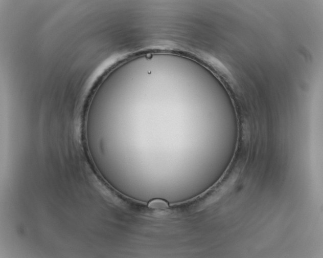 X0000114151326200910221538