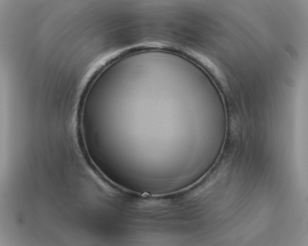 X0000114151327200910221538