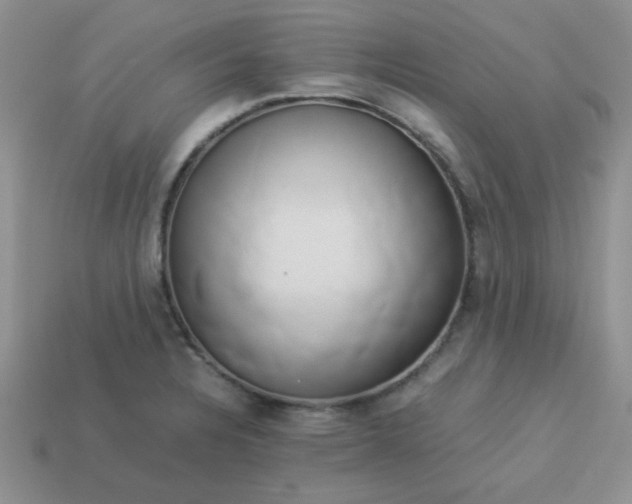 X0000114151328200910221539