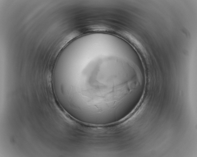 X0000114151329200910221539