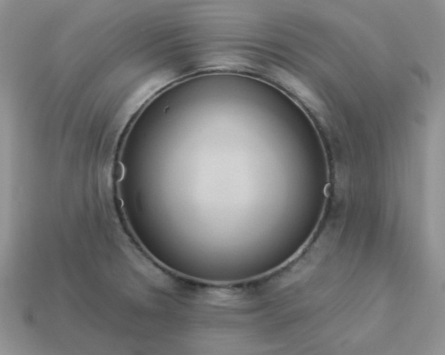 X0000114151330200910221539