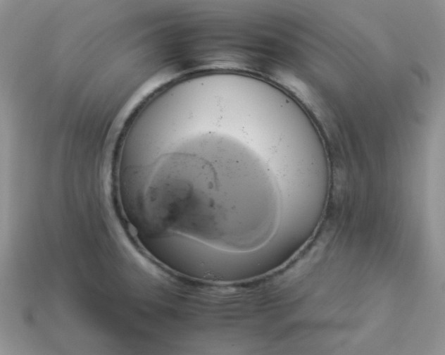 X0000114151331200910221539