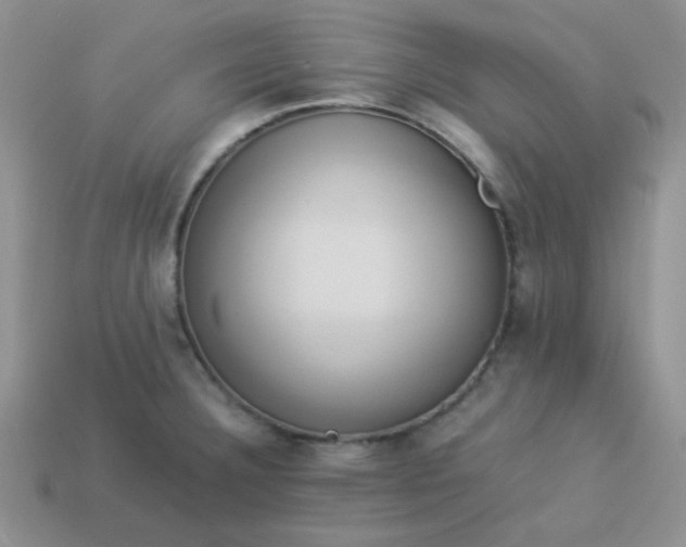 X0000114151332200910221539