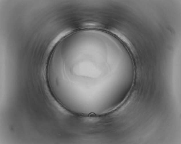 X0000114151333200910221539