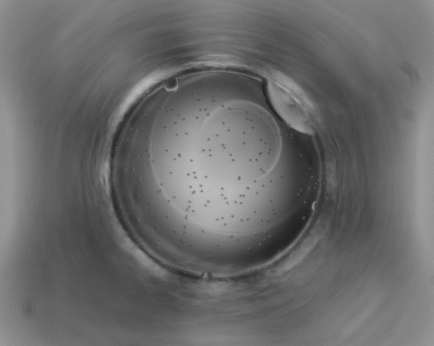 X0000114151334200910221539