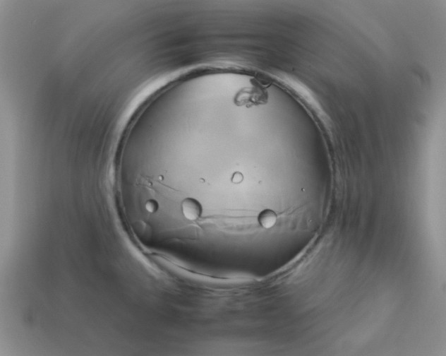 X0000114151335200910221539