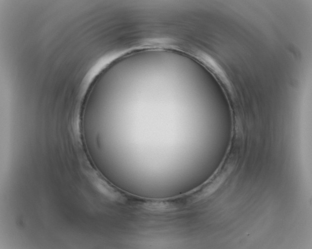 X0000114151336200910221539