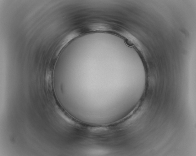 X0000114151337200910221539