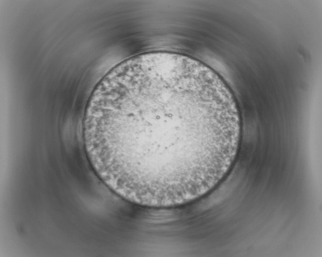 X0000114151338200910221539