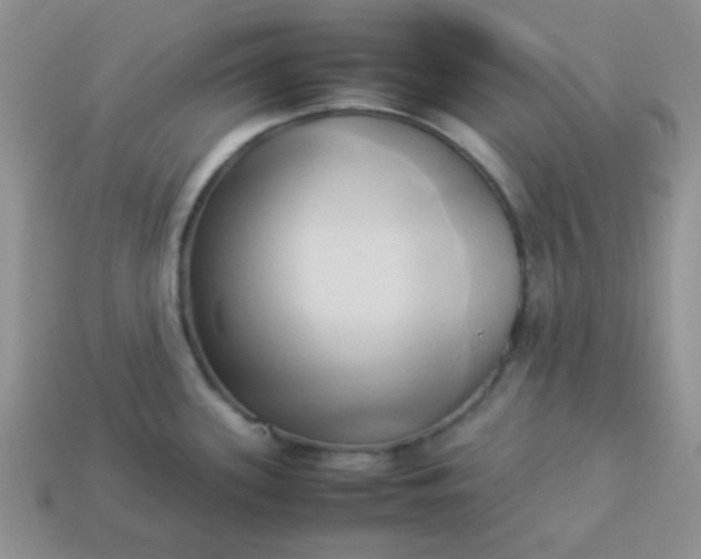 X0000114151339200910221539