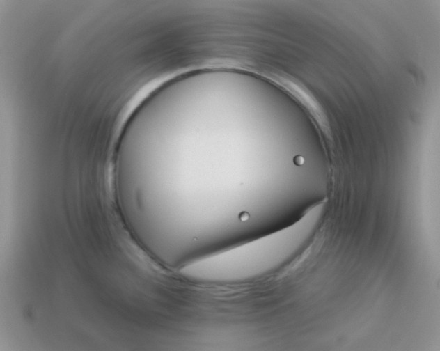 X0000114151340200910221539