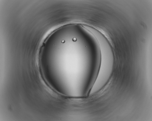 X0000114151342200910221539