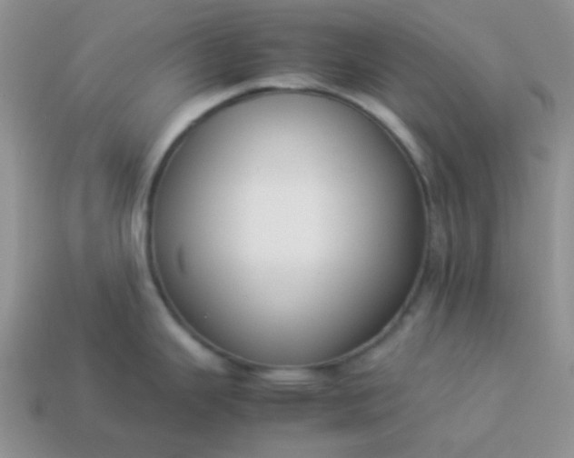 X0000114151343200910221539