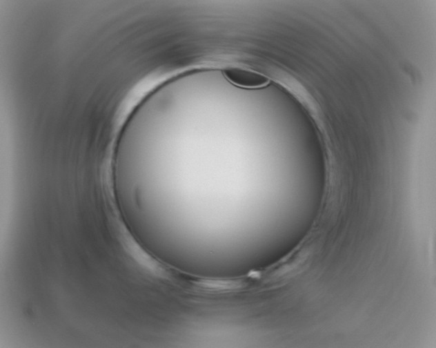 X0000114151344200910221539