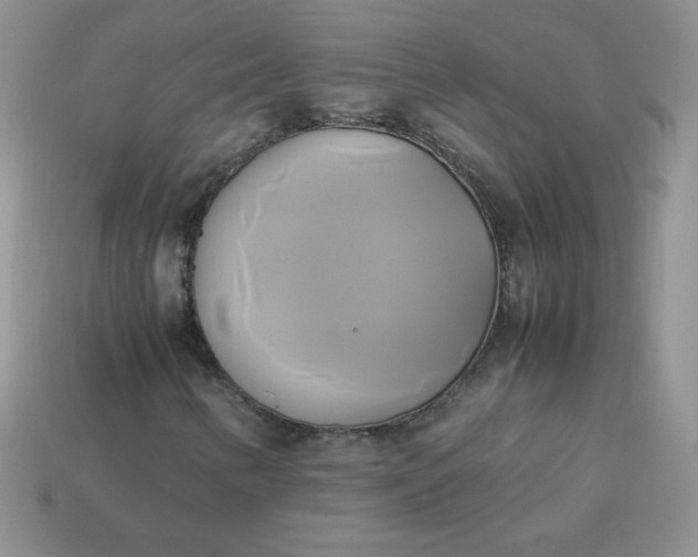 X0000114151346200910221538