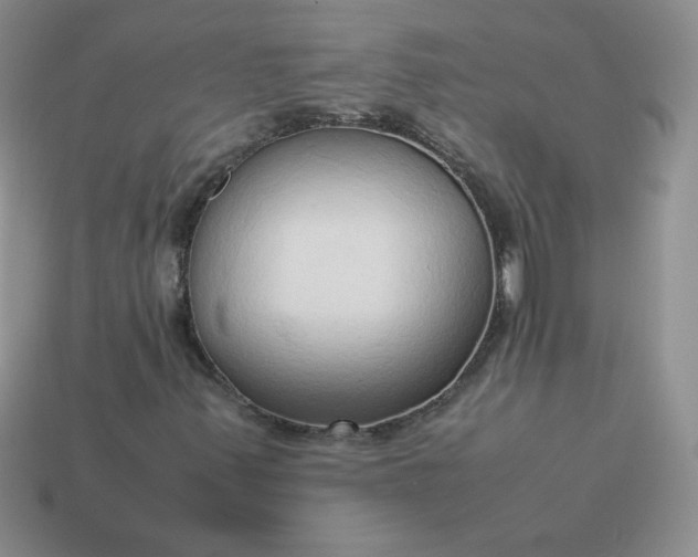 X0000114151347200910221538