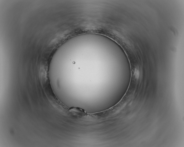 X0000114151348200910221538