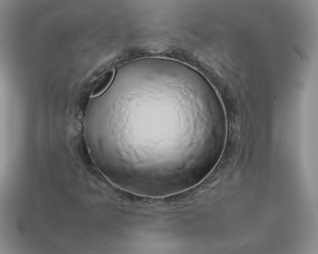 X0000114151349200910221538