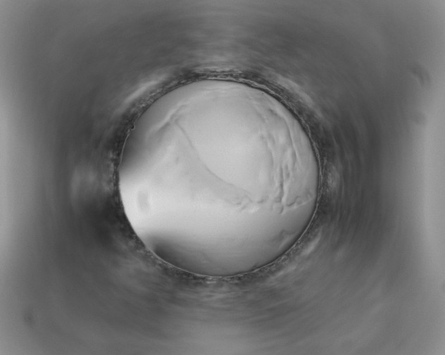 X0000114151350200910221538