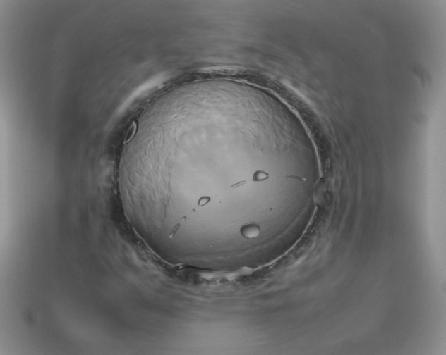 X0000114151351200910221538